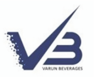 V3 Logo