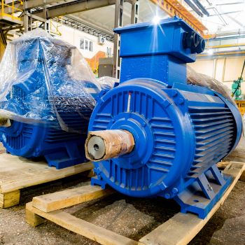 IP 55 motors